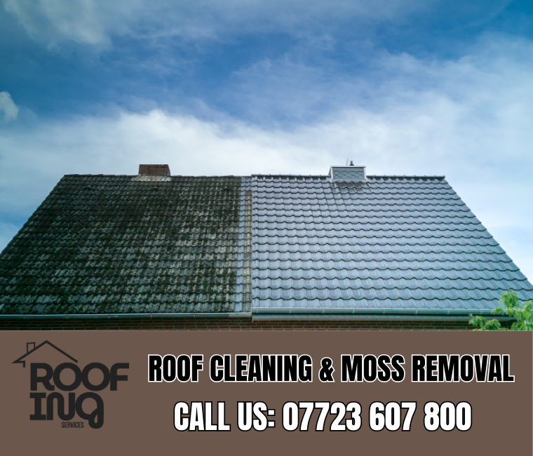 Roof Cleaning in Launceston